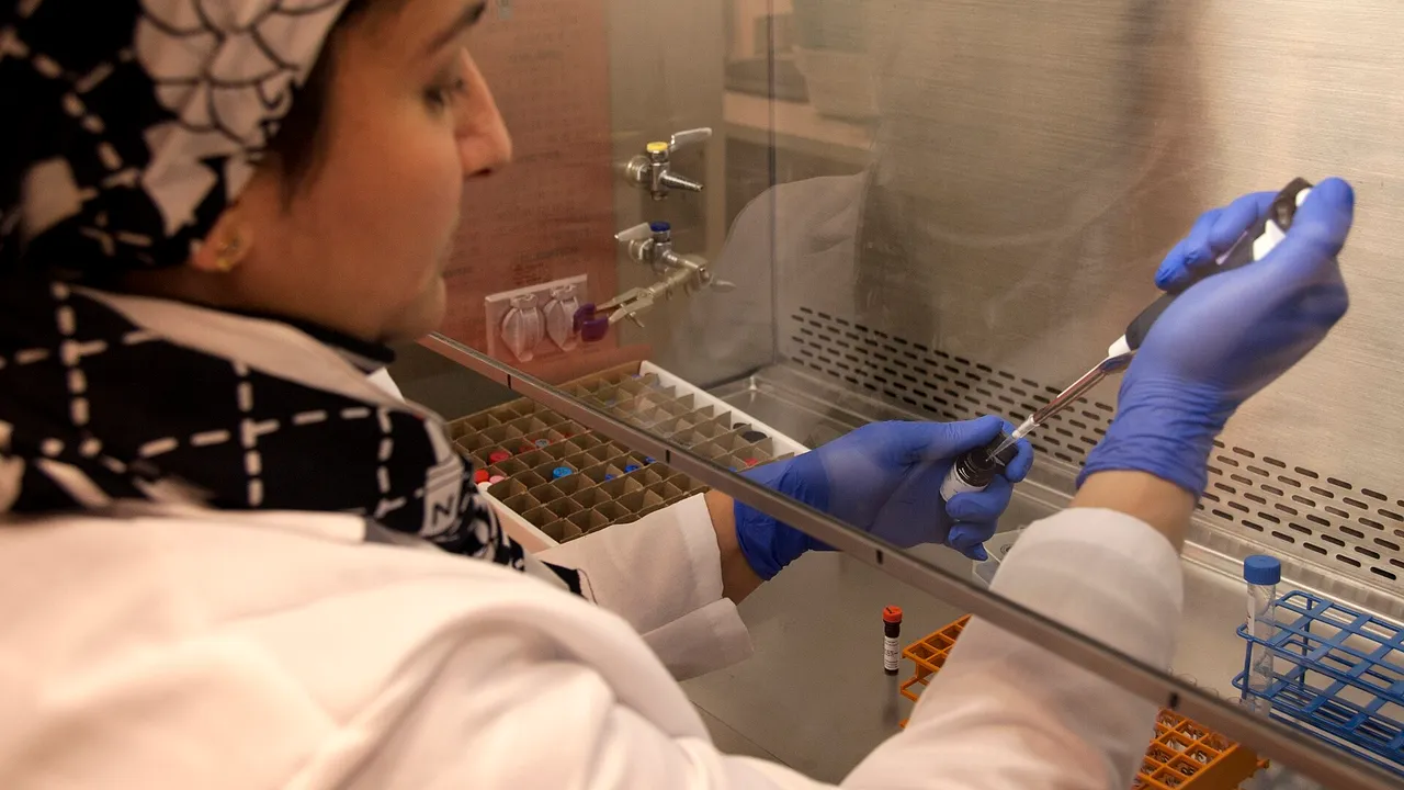 Heba Degheidy, M.D., Ph.D., a visiting research associate at FDA, works with stem cell samples in an FDA laboratory on the National Institutes of Health campus