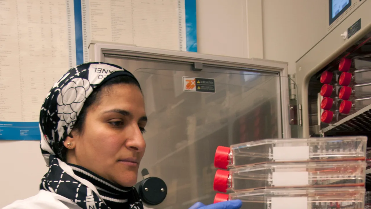 Heba Degheidy, M.D., Ph.D., a visiting research associate at FDA, stores stem cell samples for analysis in an FDA laboratory on the National Institutes of Healt