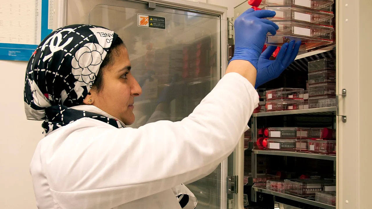 Heba Degheidy, M.D., Ph.D., a visiting research associate at FDA, stores stem cell samples for analysis in an FDA laboratory on the National Institutes of Healt