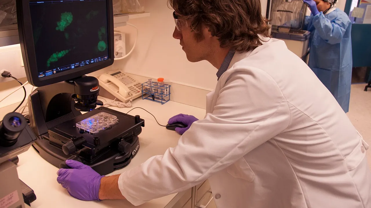 Ross Marklein, Ph.D., a post-doctoral research fellow at FDA, examines images of stem cells in an FDA laboratory on the National Institutes of Health campus in