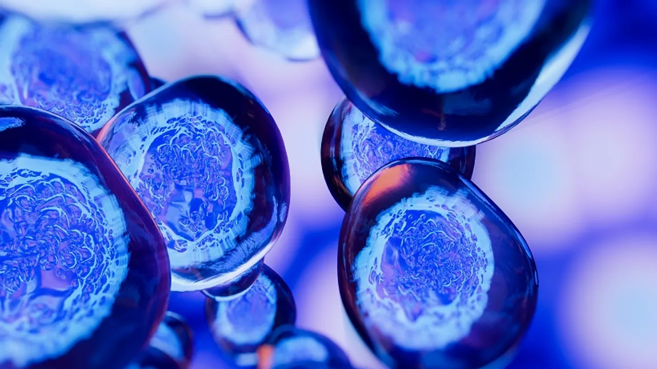 Image from European Medical Journal: Early Trial Shows Stem Cell Therapy May Reduce Insulin Dependence in Type 1 Diabetes
