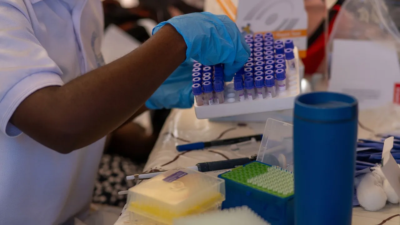 A healthcare professional organizing test tubes in a lab, focusing on precision and care.