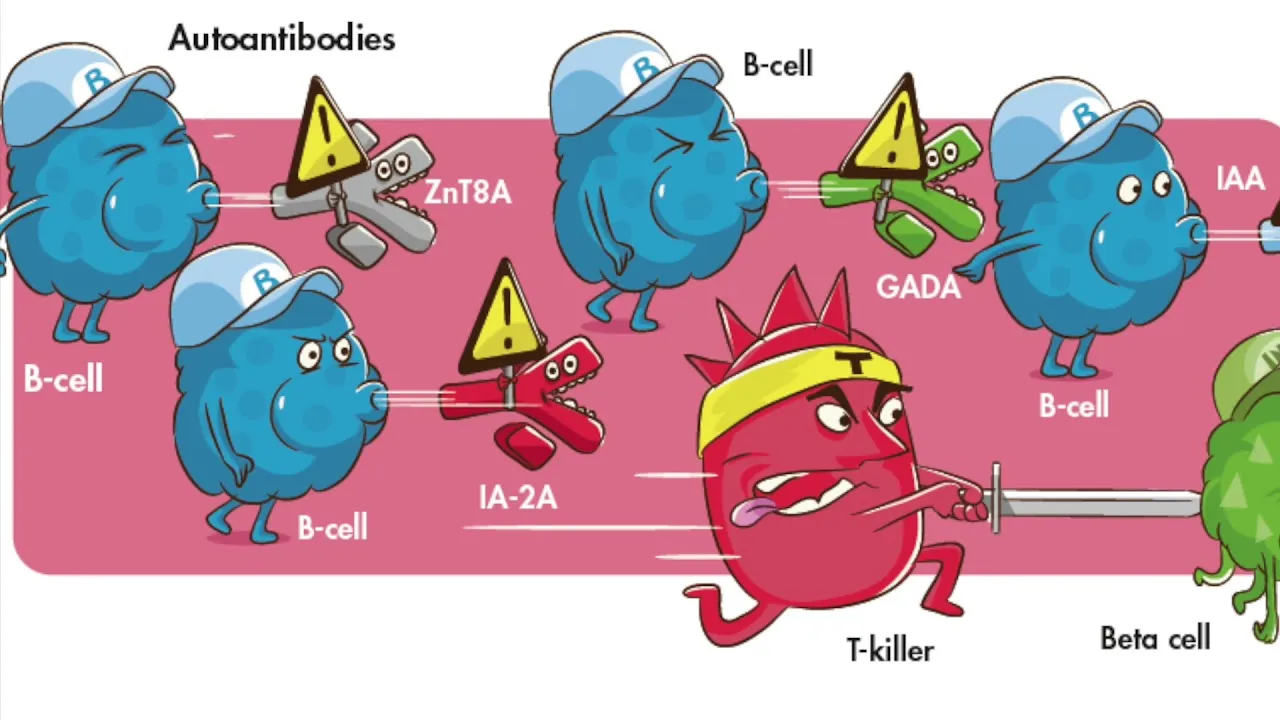 Video still from YouTube / TEDDY Study - Washington: Understanding Autoantibodies: How Researchers Detect Type 1 Diabetes Before Symptoms Appear