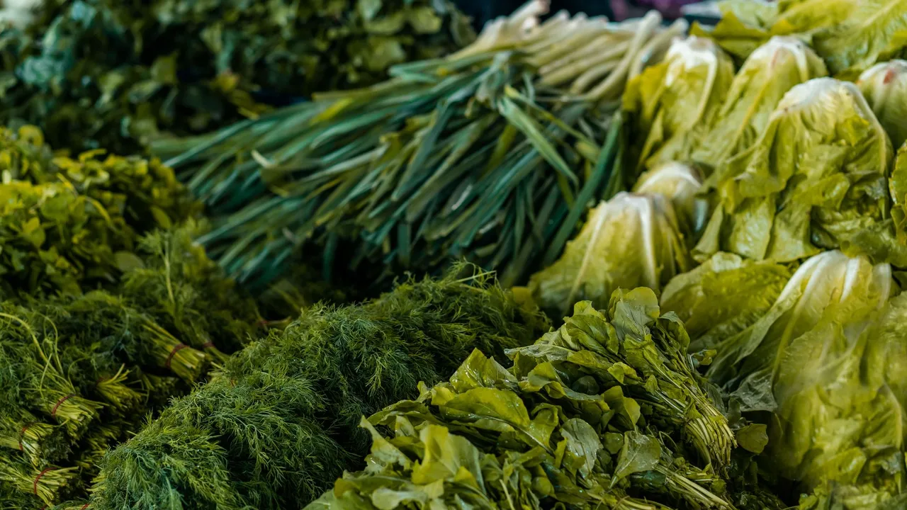 Bunches of healthy dill and fresh lettuce placed near heap of green onions on stall in grocery market during harvest season