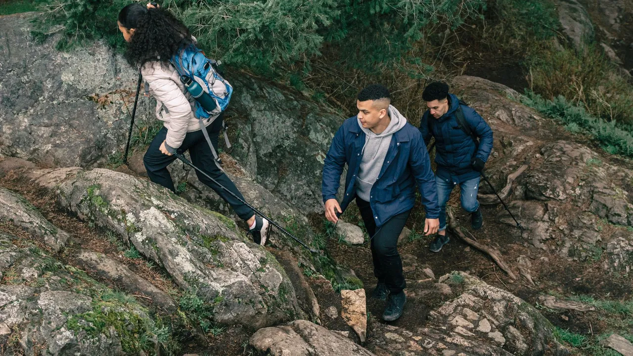 A group of young adult hikers climbing a rocky forest trail, enjoying outdoor adventure and exploration.